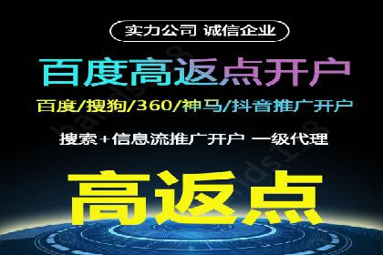 行业领先：竞价SEM托管案例剖析